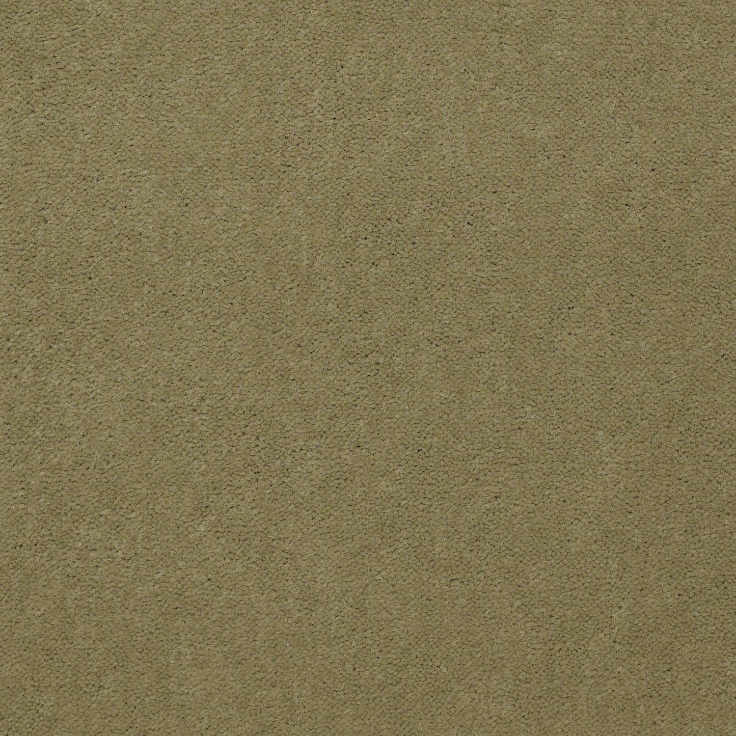 Emphatic II 36