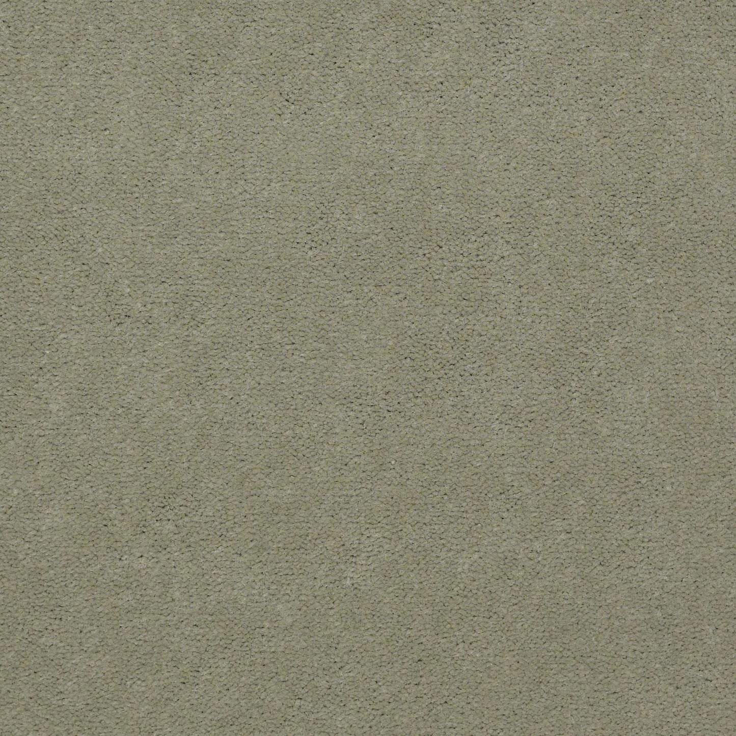 Emphatic II 36