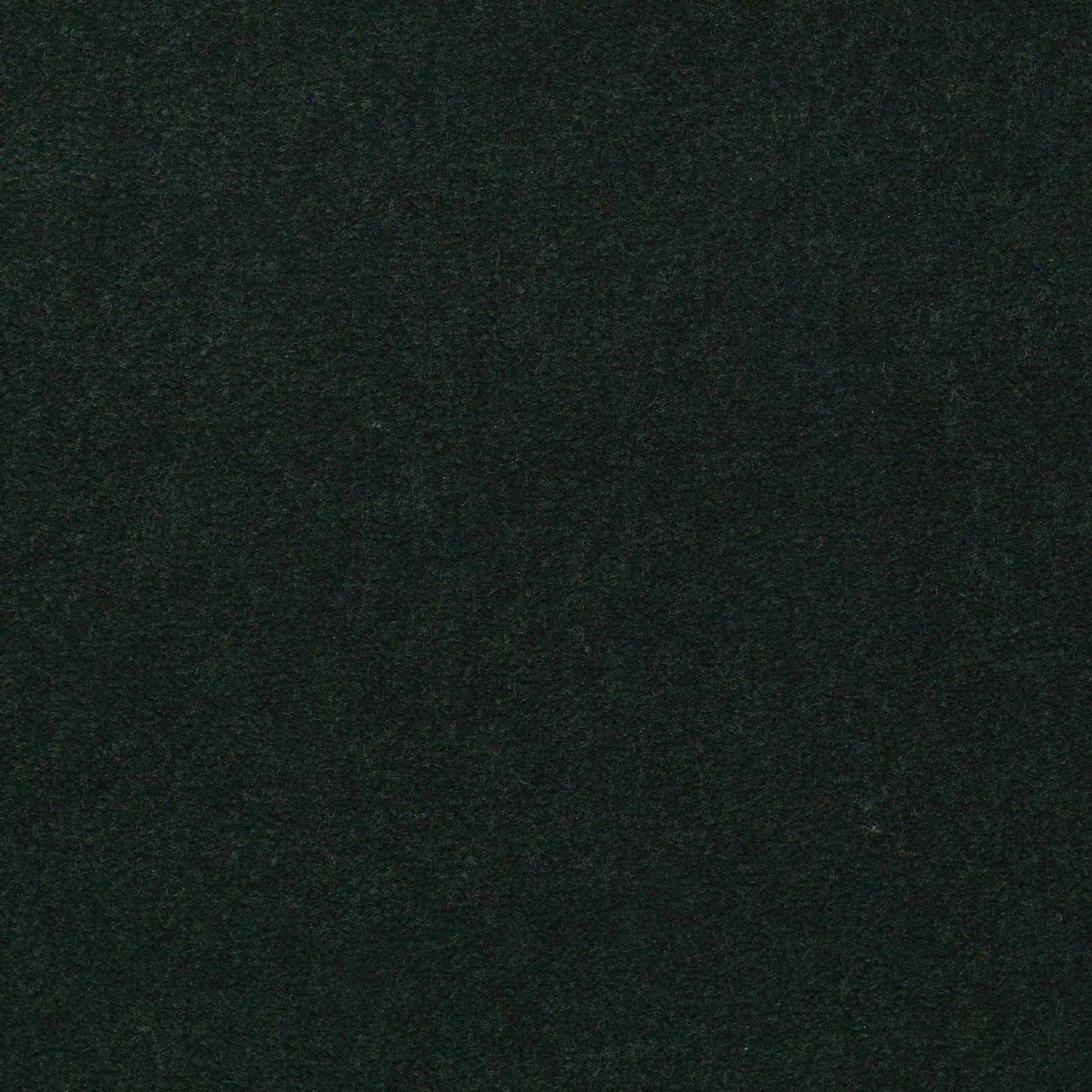 Emphatic II 36