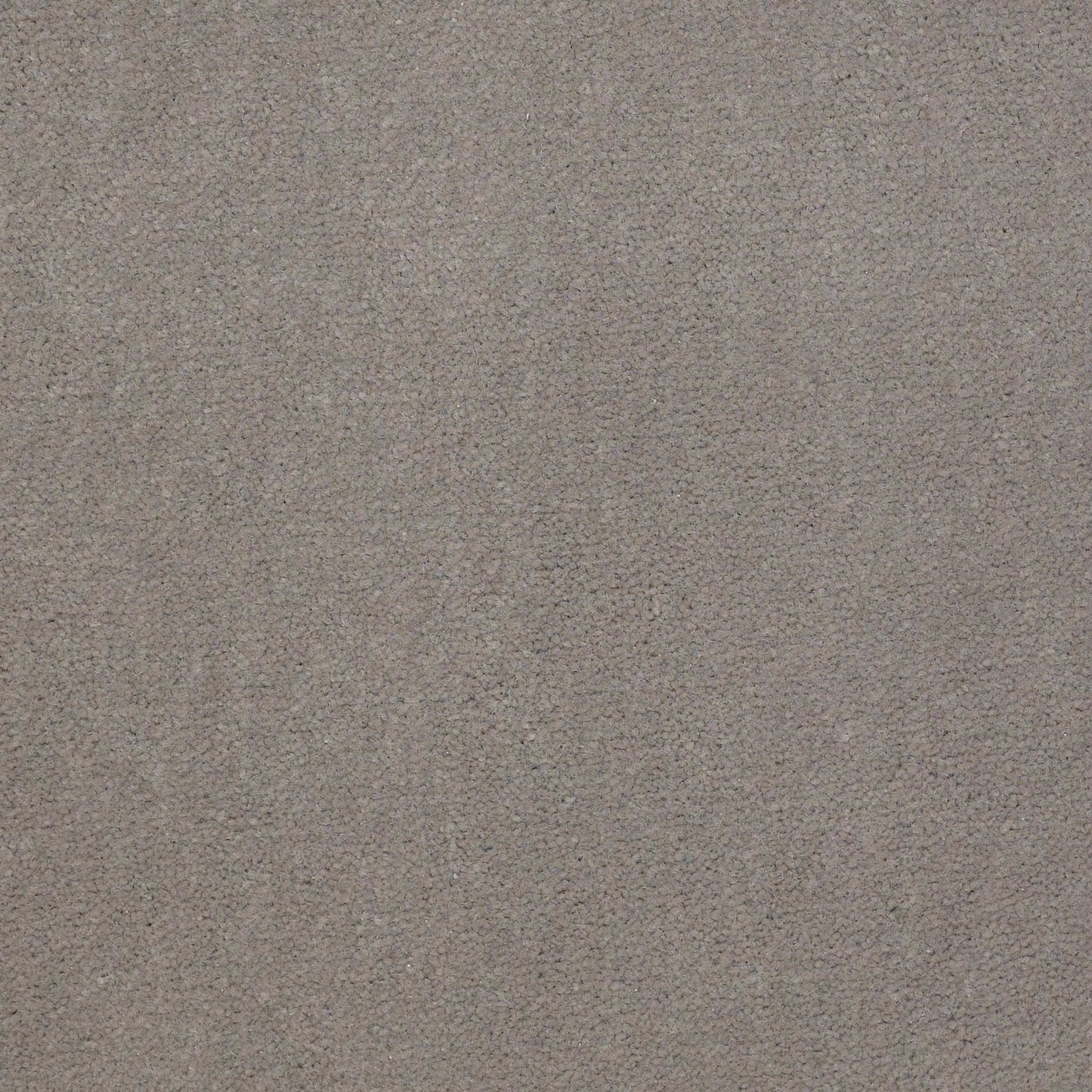 Emphatic II 36