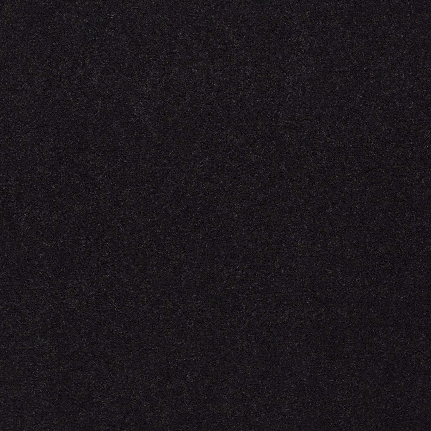 Emphatic II 36