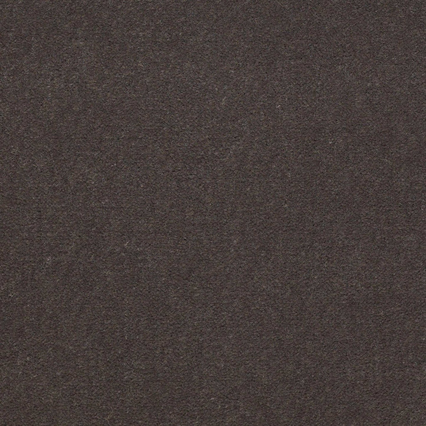 Emphatic II 36