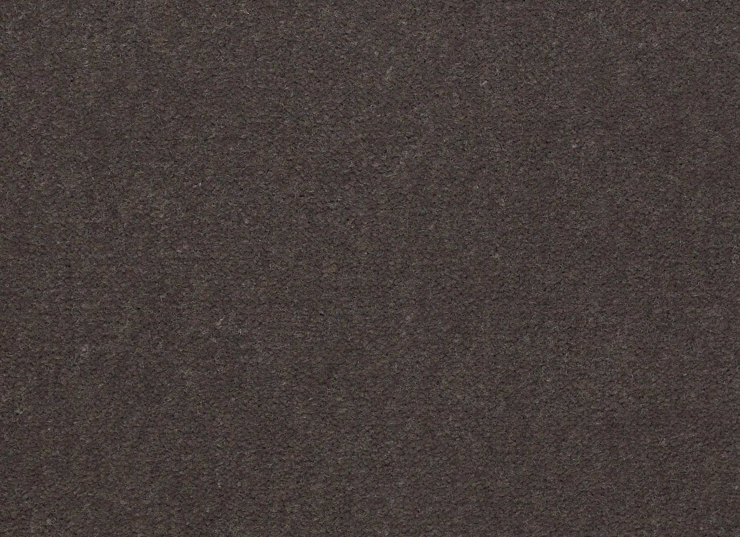 Emphatic II 36