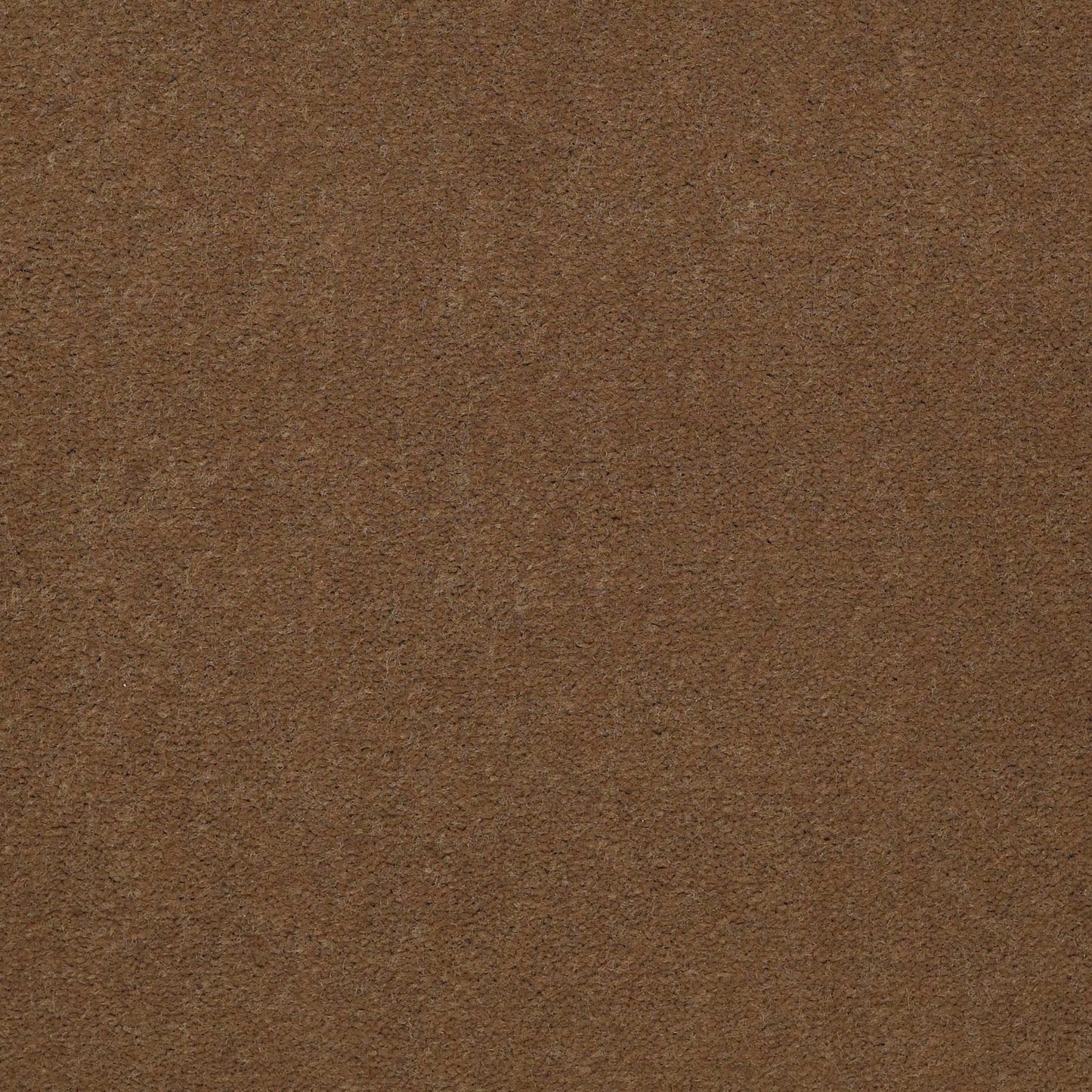 Emphatic II 36