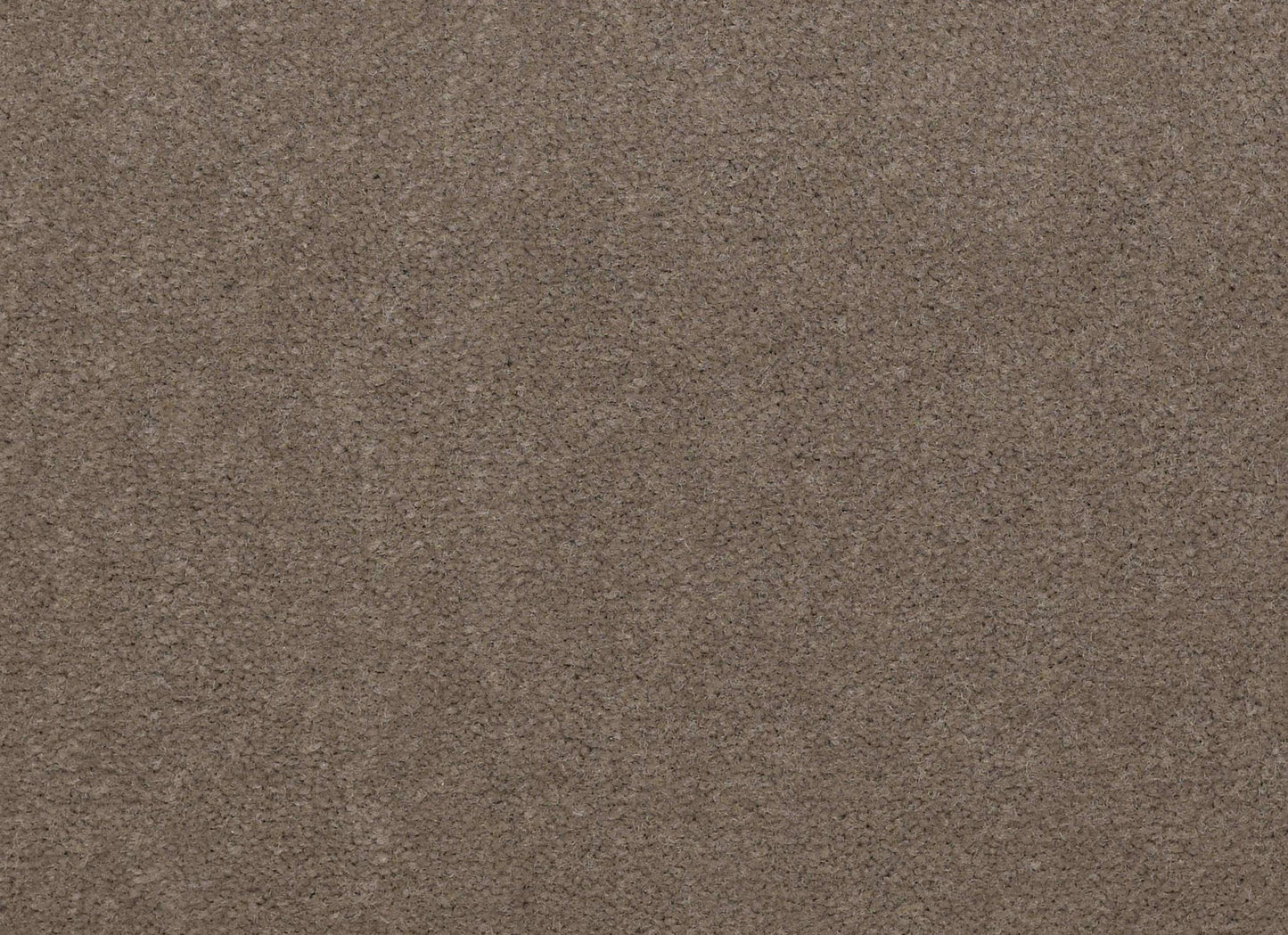 Emphatic II 36