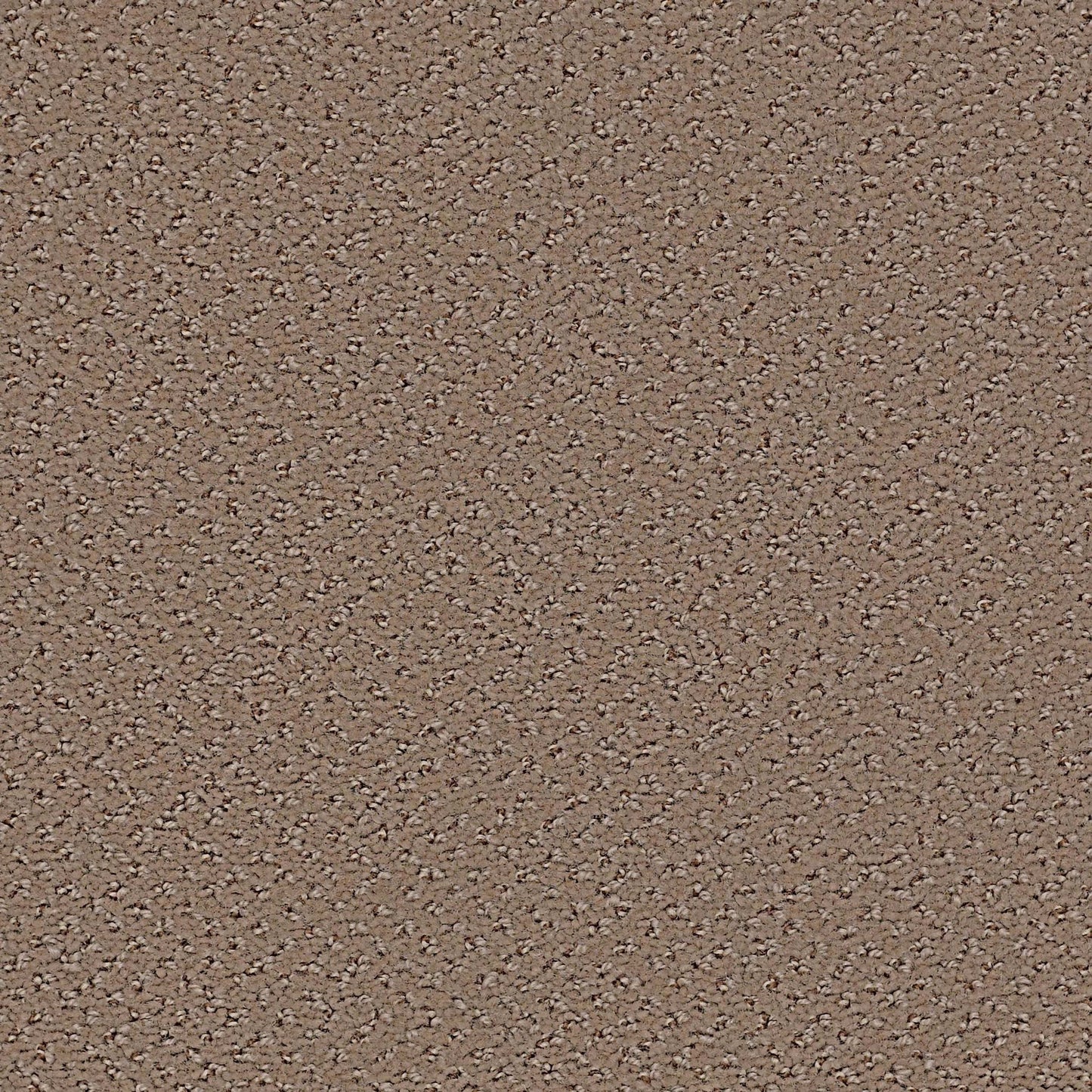 Legend Falls in Shore Line Carpet