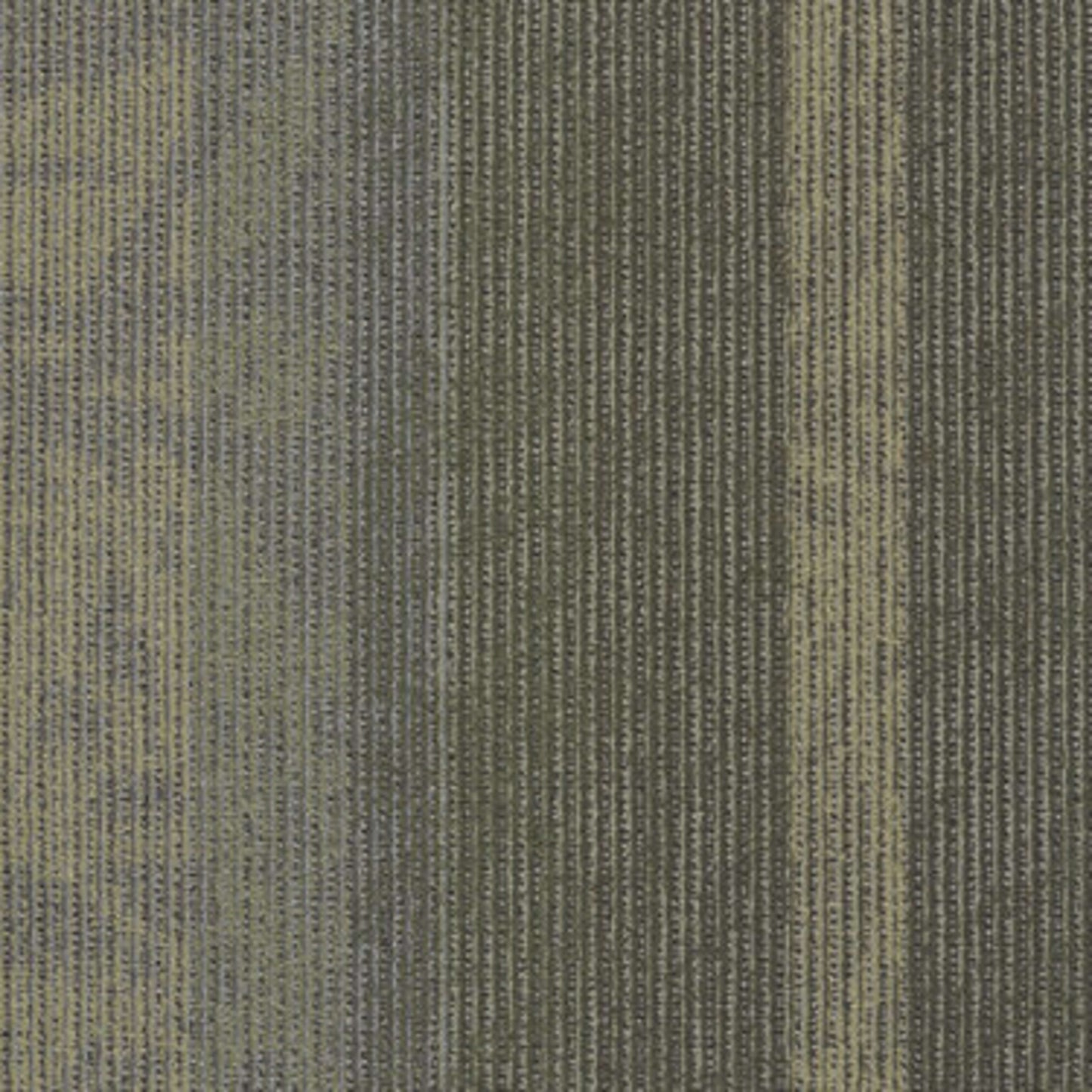 Static in Signal Carpet