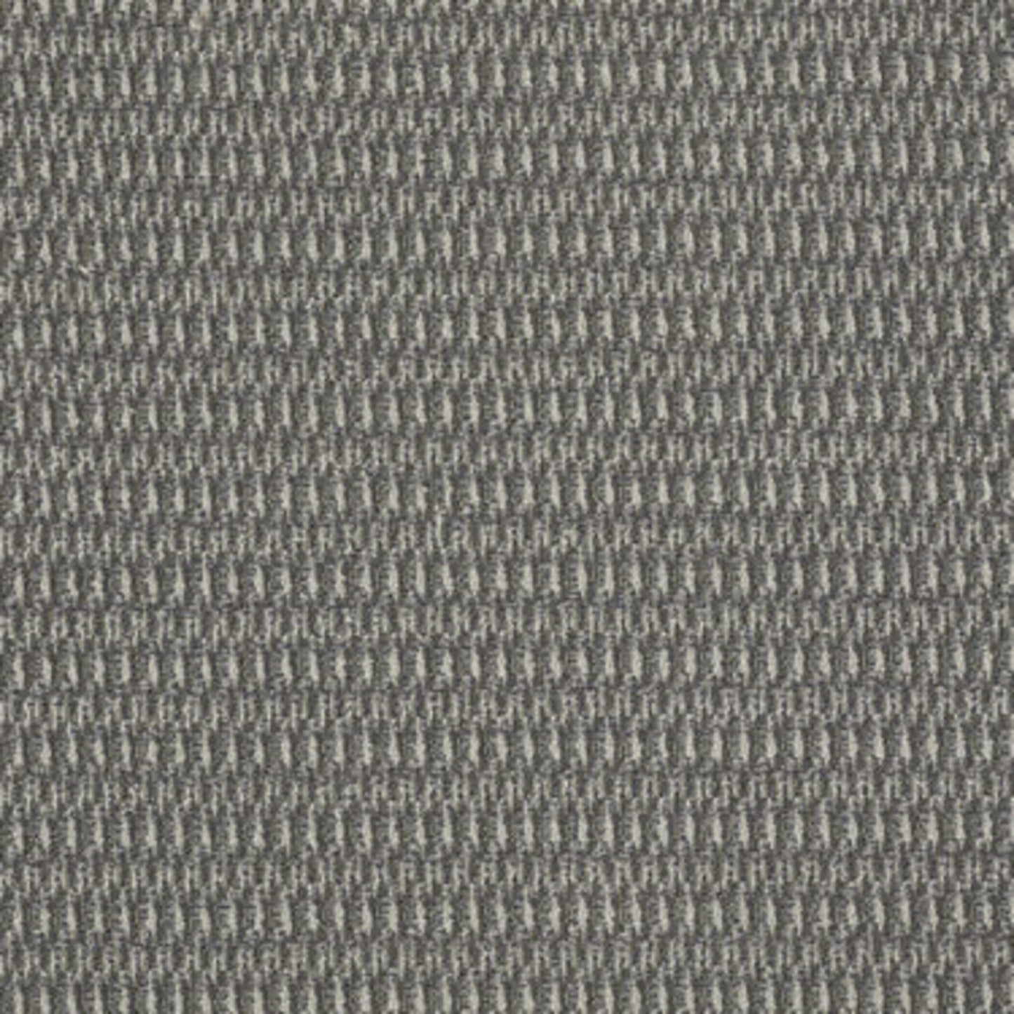 In Harmony in Blended Carpet