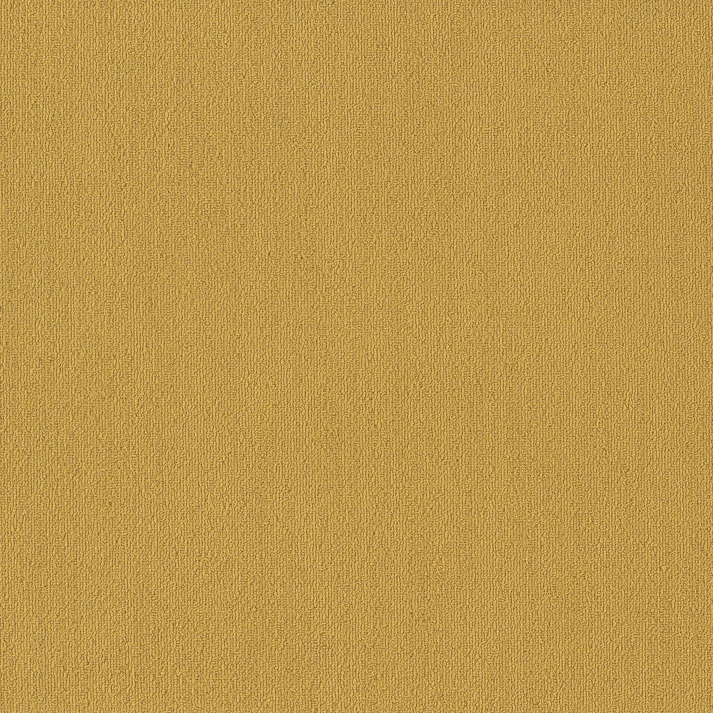 Color Accents Bl in Ochre Carpet