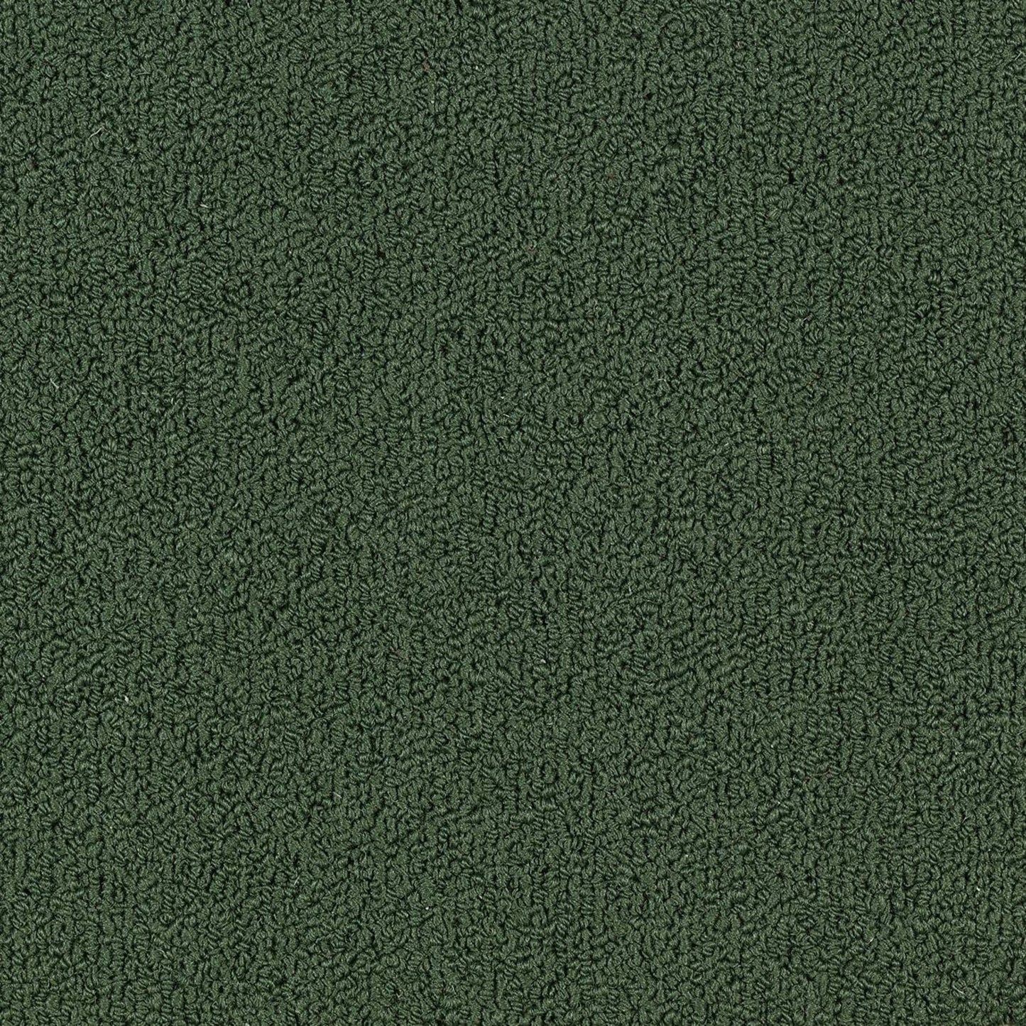 Color Accents Bl