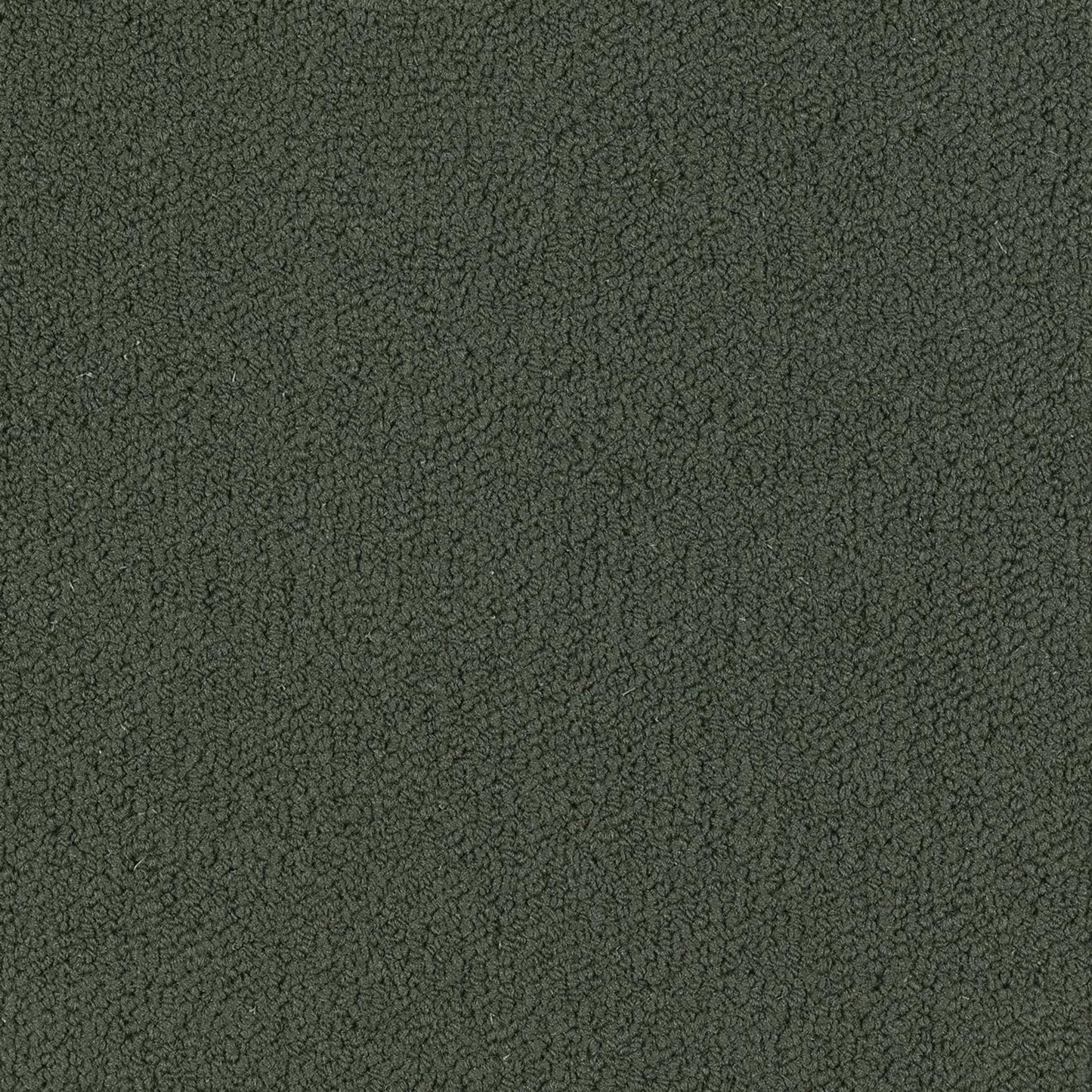 Color Accents Bl