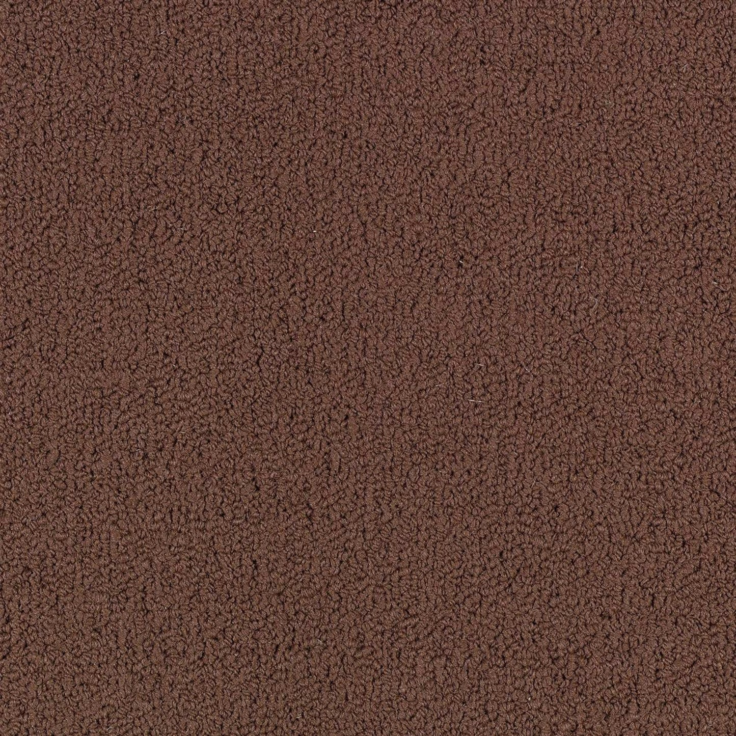 Color Accents Bl