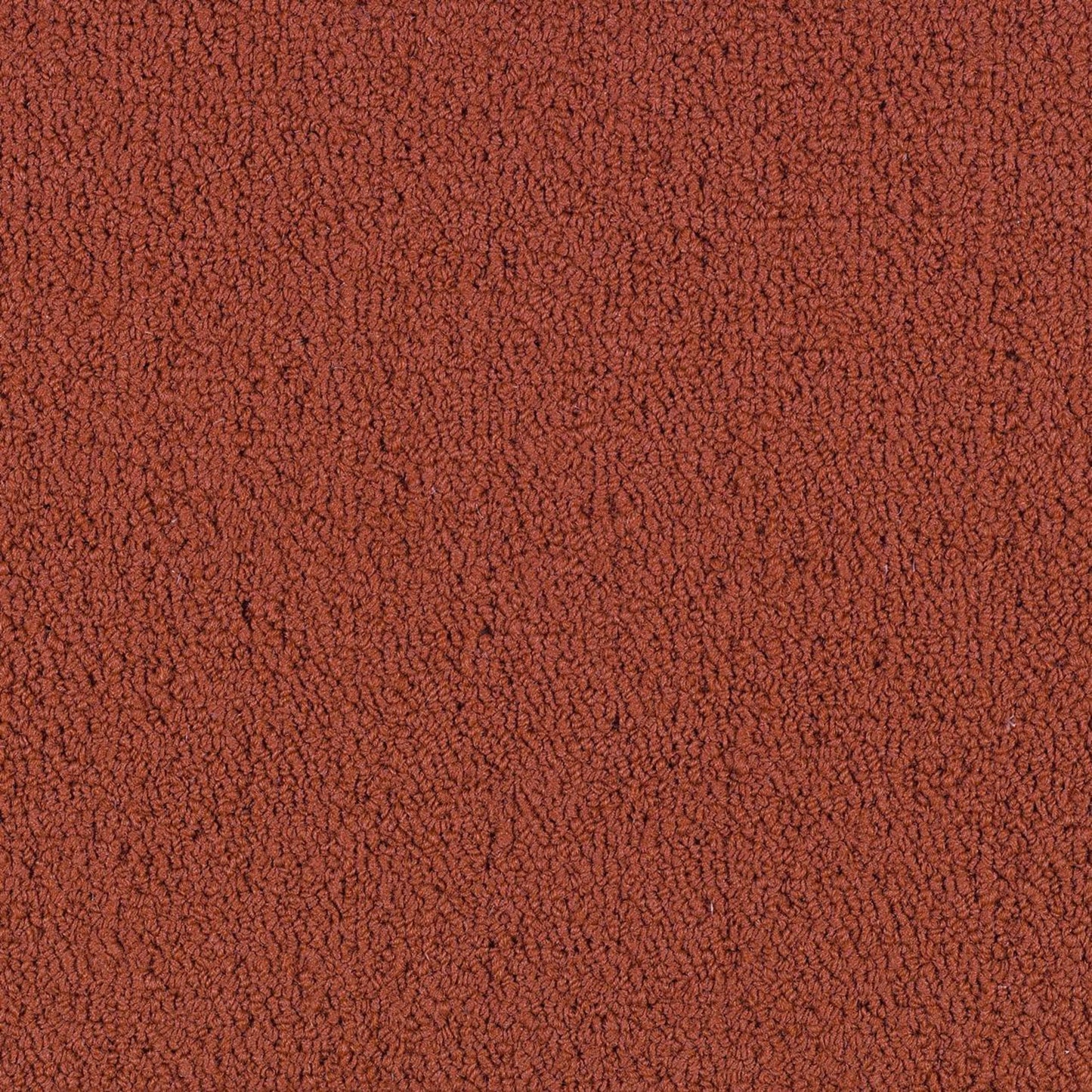 Color Accents Bl