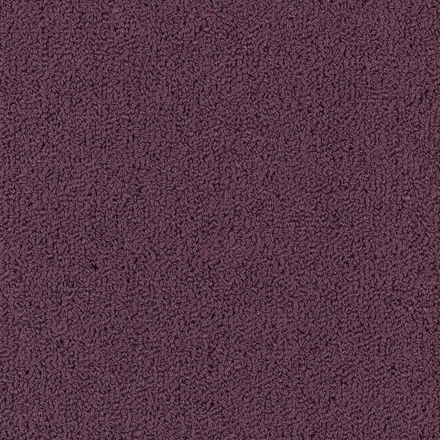 Color Accents Bl