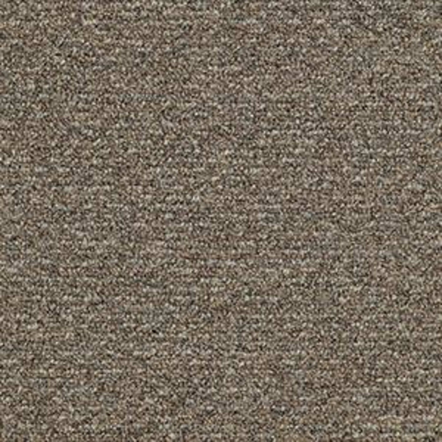 Natural Path in Mineralite Carpet