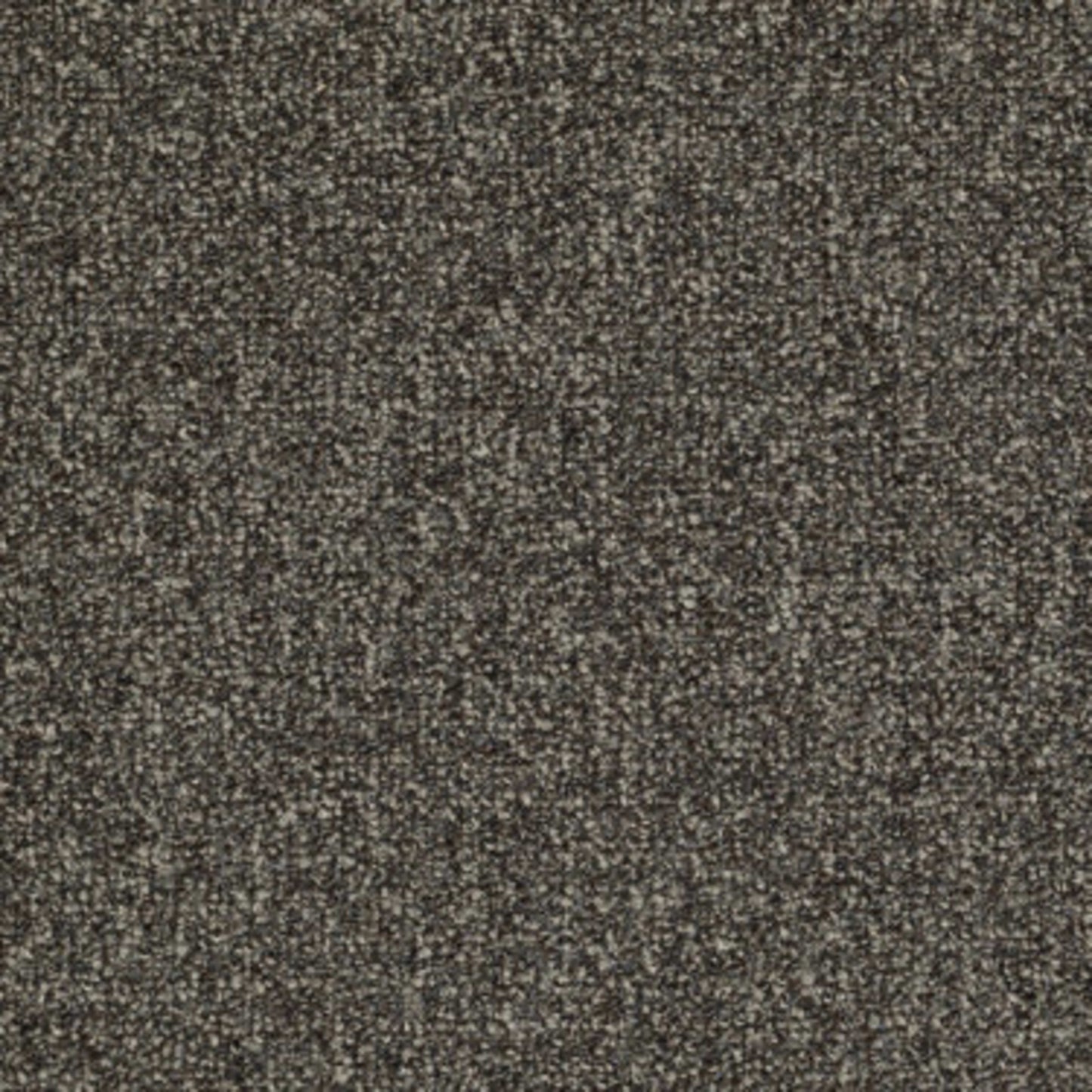Casual Boucle in Flagstone Carpet
