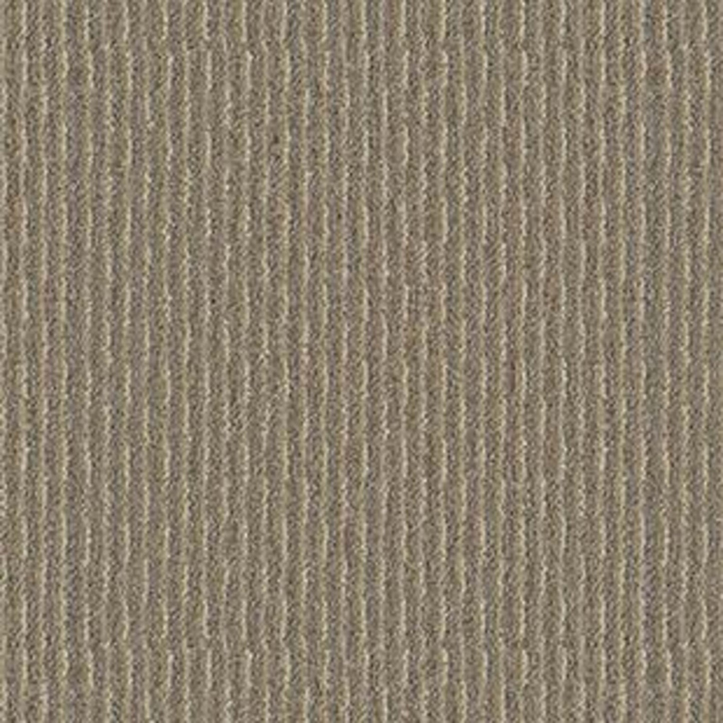 Pattern Play in Bayou Beige Carpet