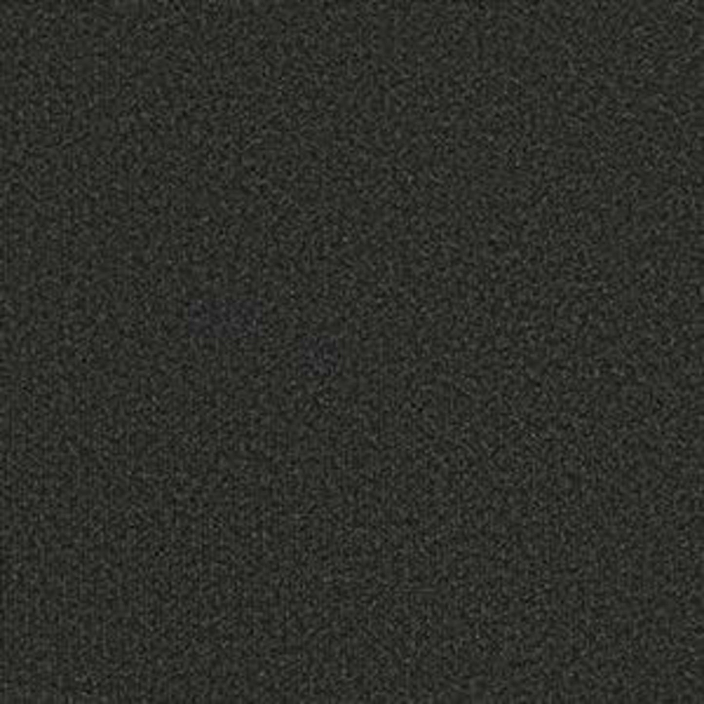 Backdrop I 12