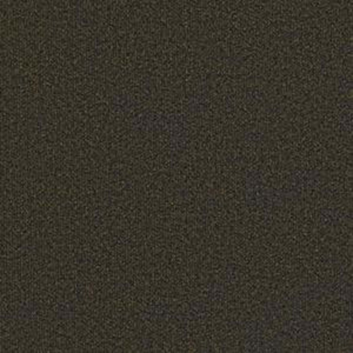Backdrop I 12