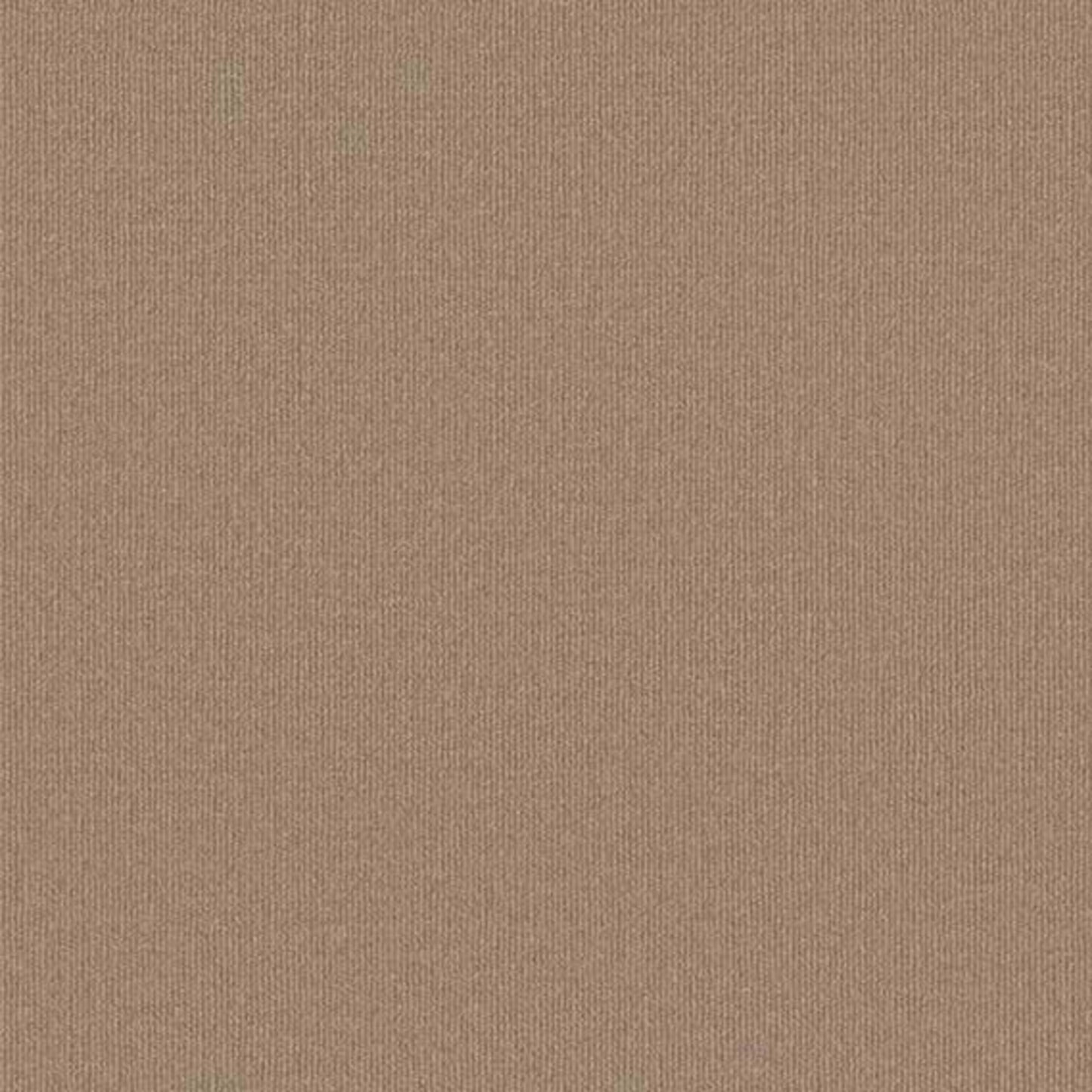 Backdrop 2 12
