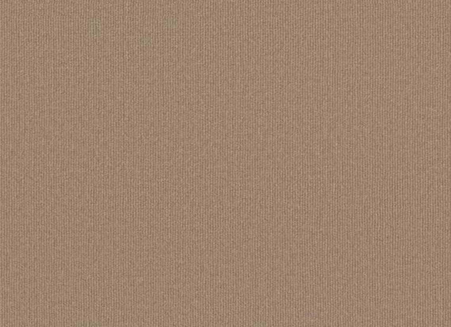 Backdrop 2 12