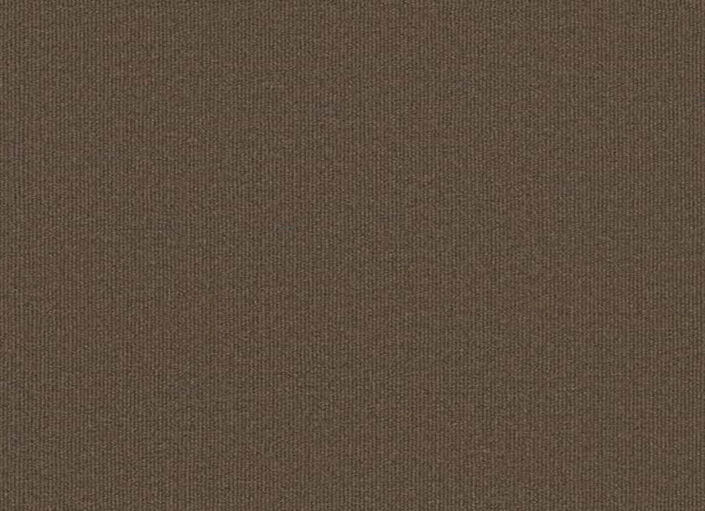 Backdrop 2 12