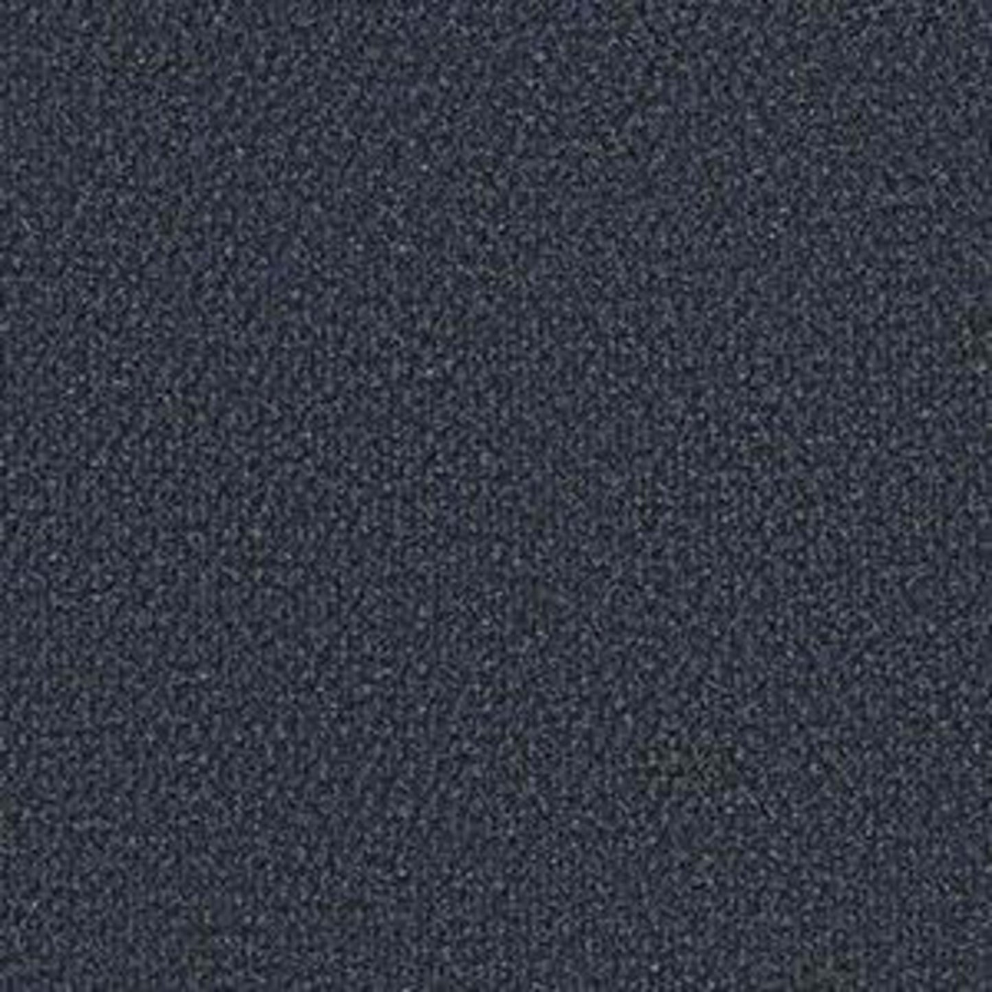 SUCCESSIONII BL in Laguna Bay Carpet