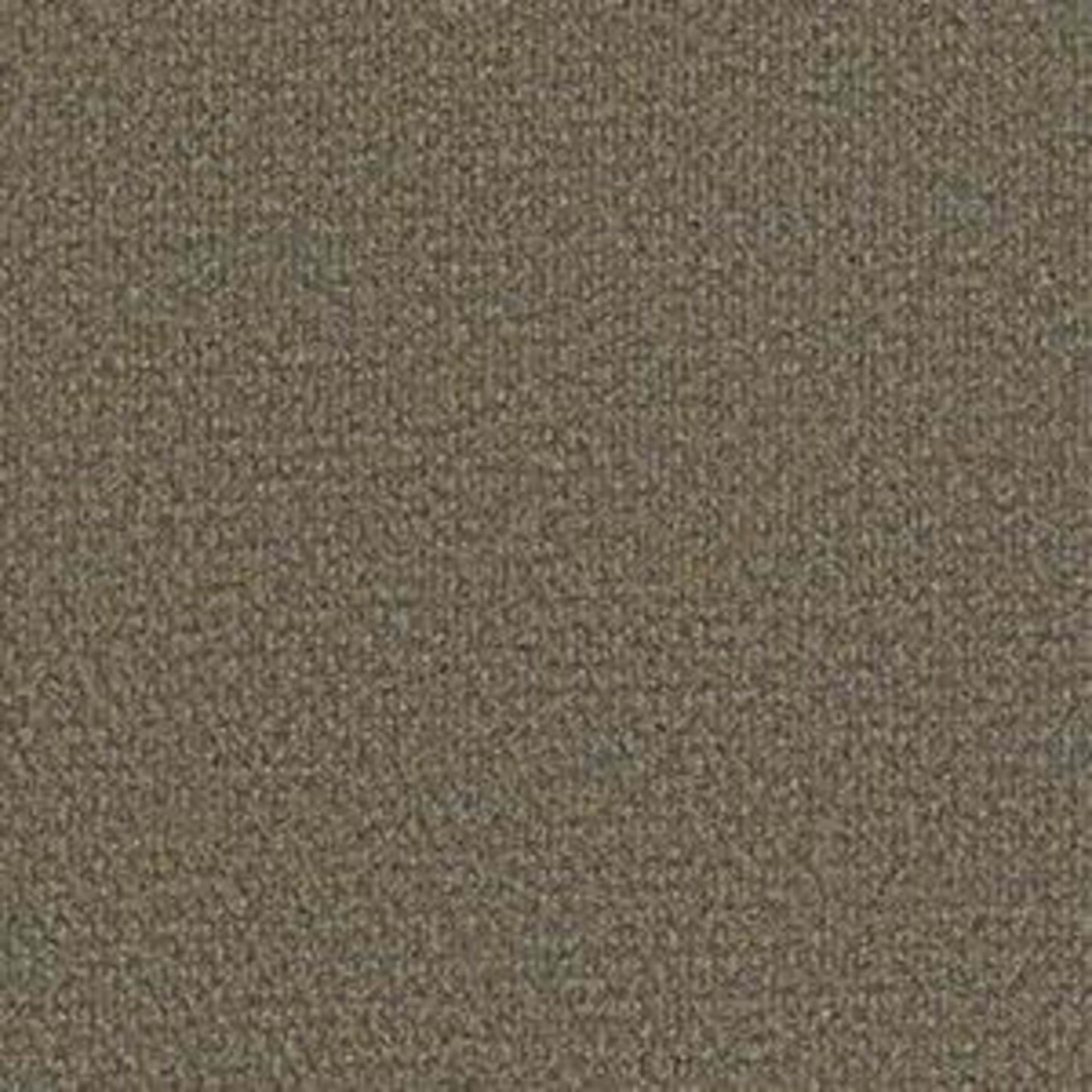 SUCCESSIONII TL in Sierra Sand Carpet