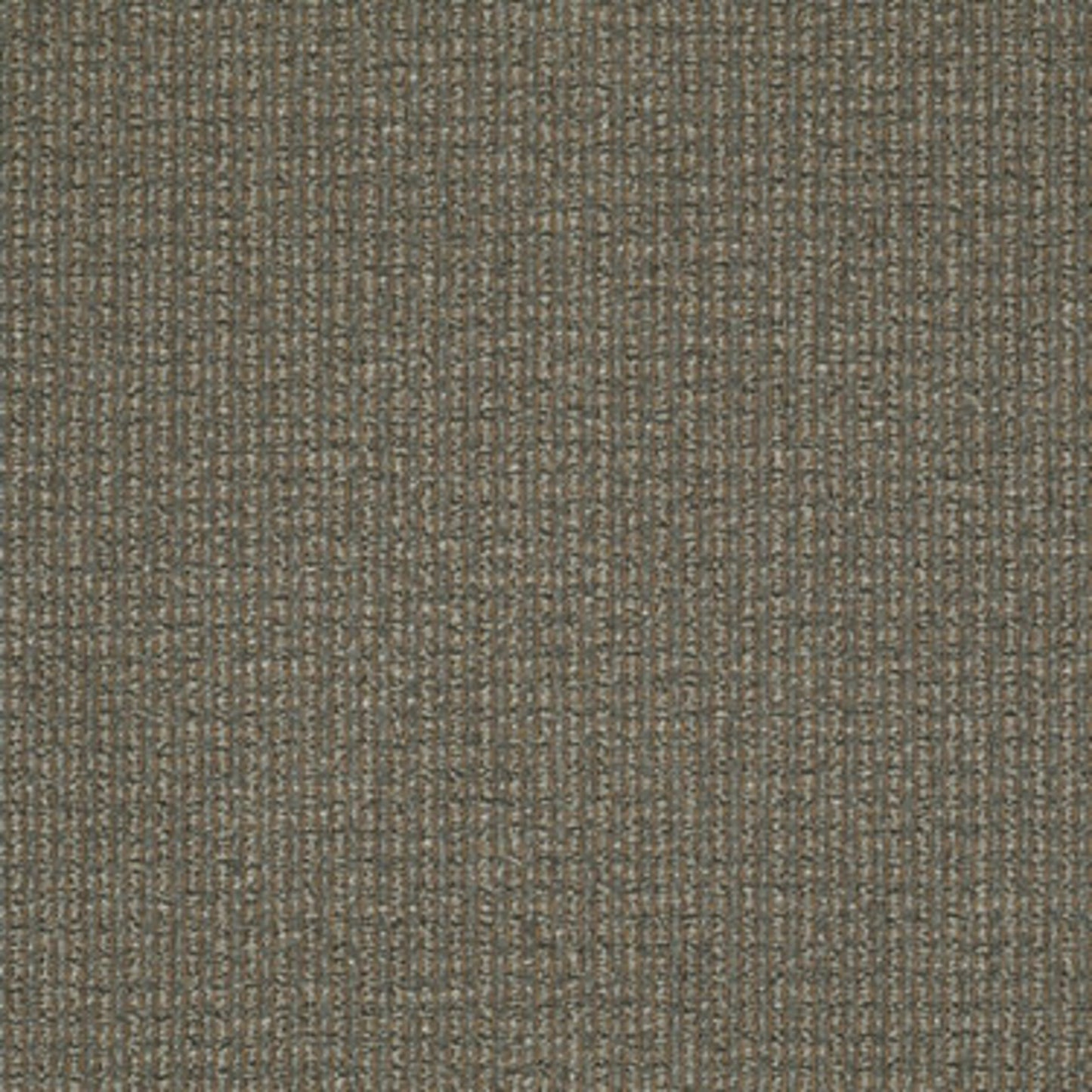 On The Move in Sure Thing Carpet