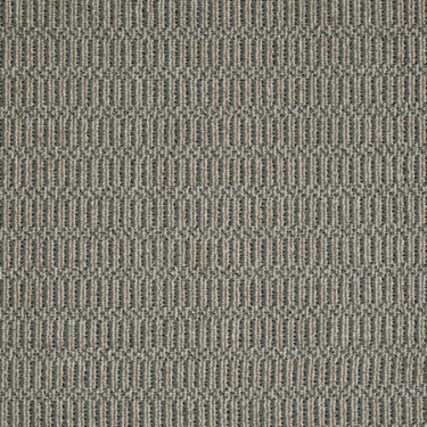On Site in Sure Thing Carpet