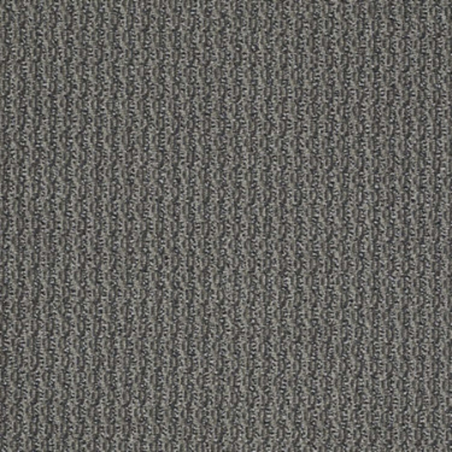 On Target in To The Point Carpet