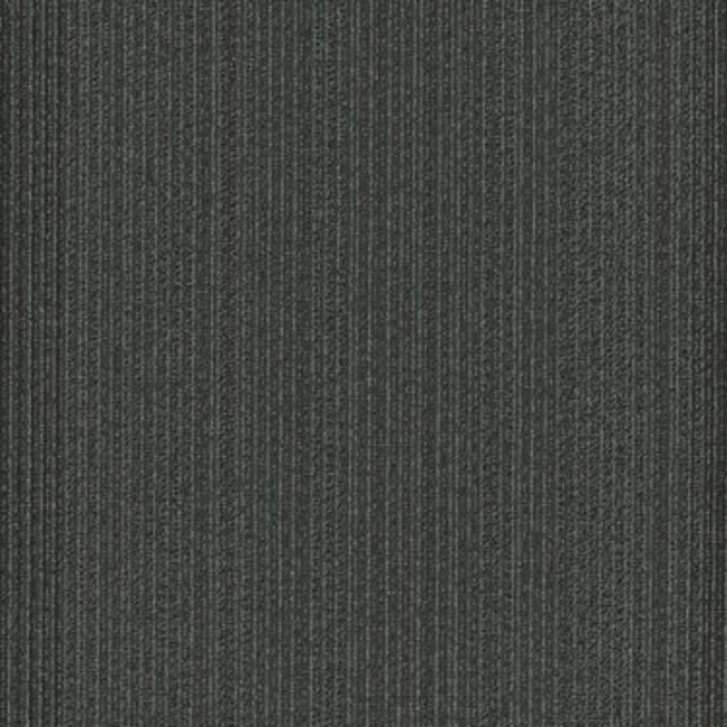 PRACTICAL in Rational Carpet