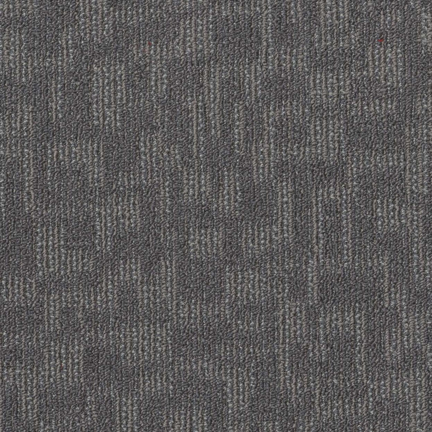 FORGE in Construct Carpet
