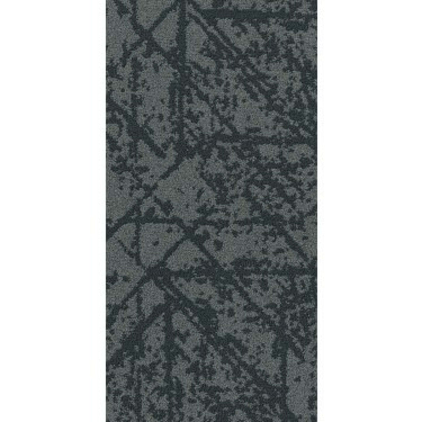 INTERLACE
