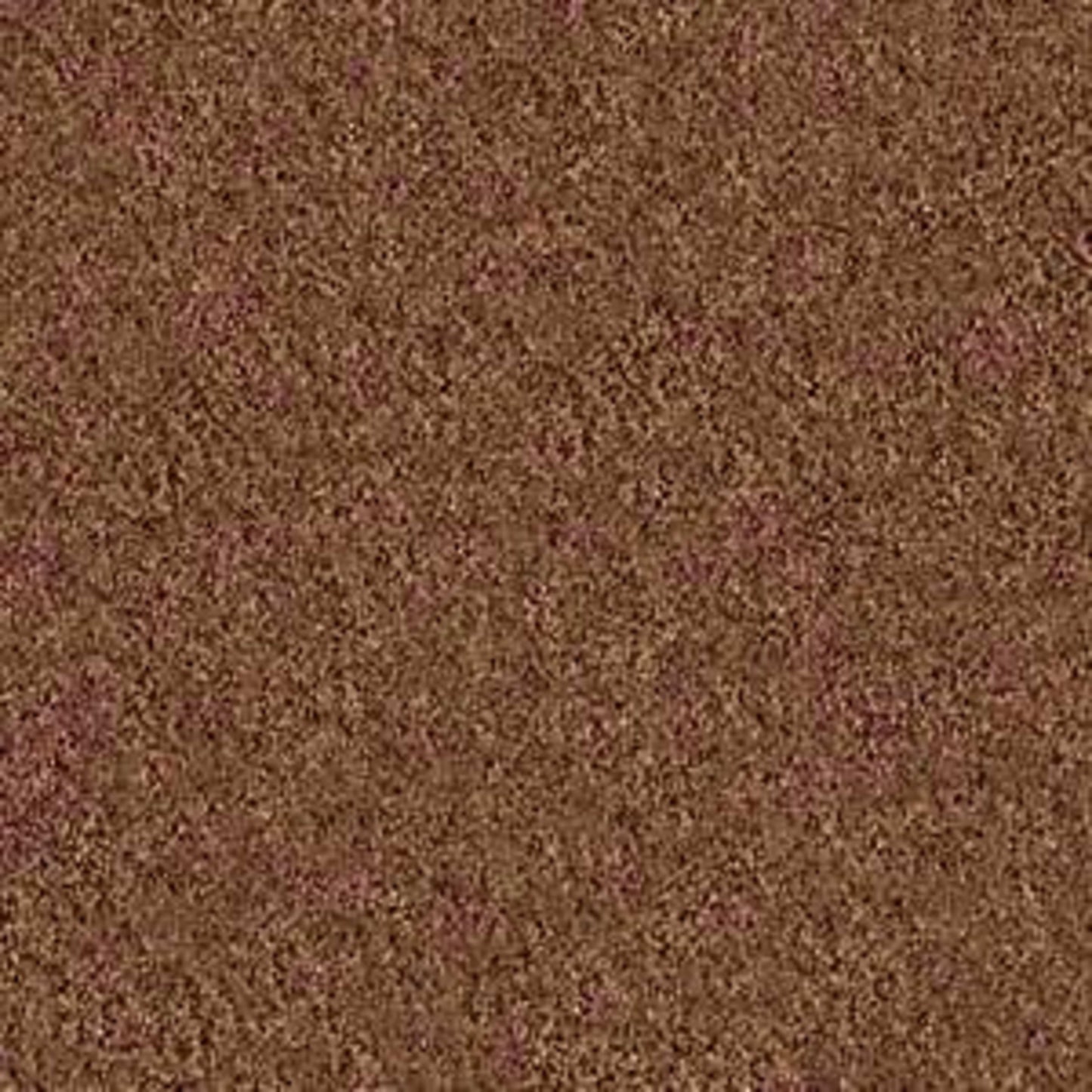 Challenge Accepted I 12' in Pottery Carpet