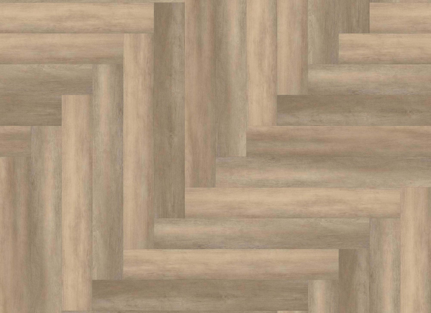 PHILOSOPHER'S TREE in Honeycomb