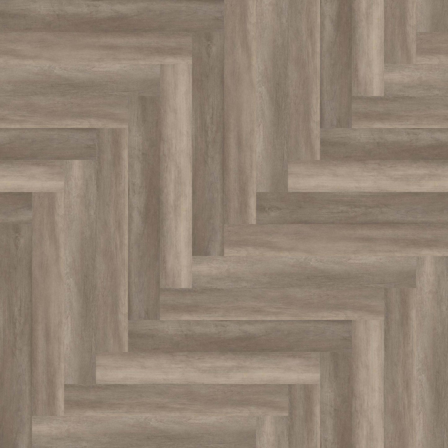 PHILOSOPHER'S TREE in River Rock Luxury Vinyl