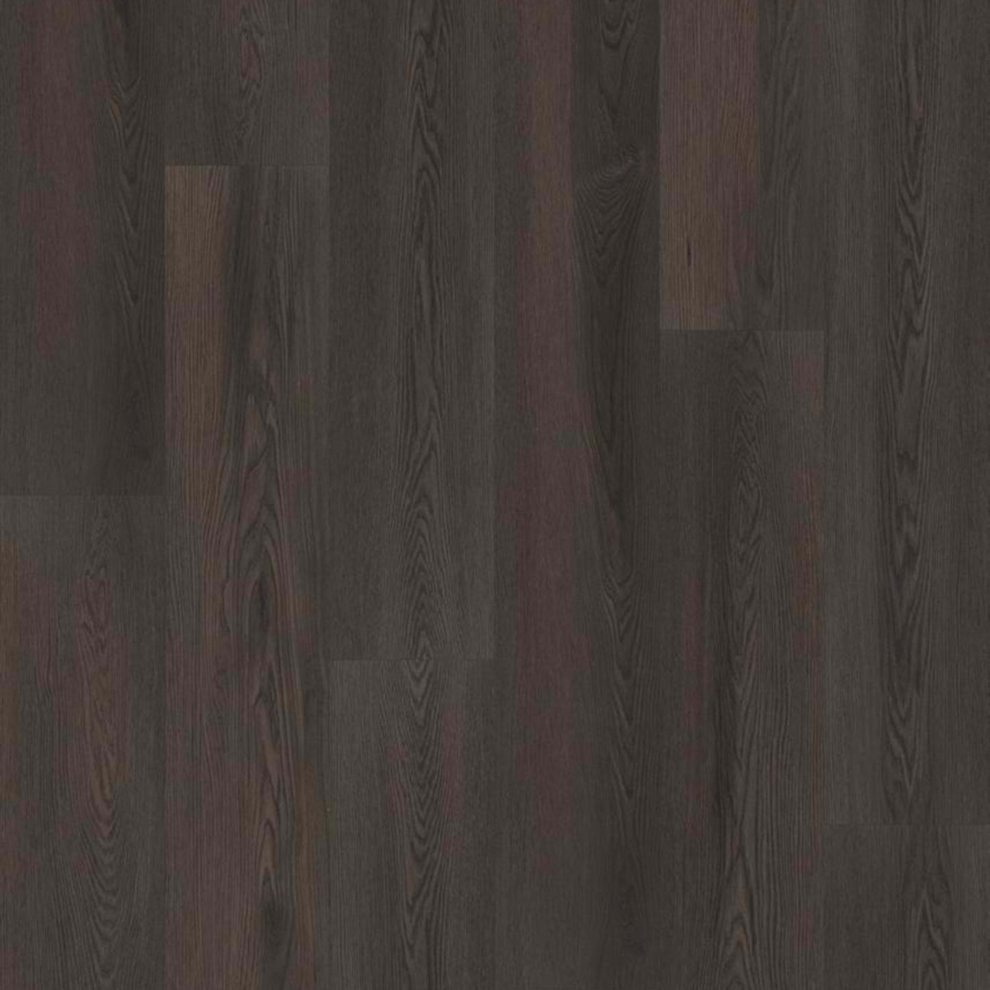 PHILOSOPHER'S TREE in Burnished Timber Luxury Vinyl