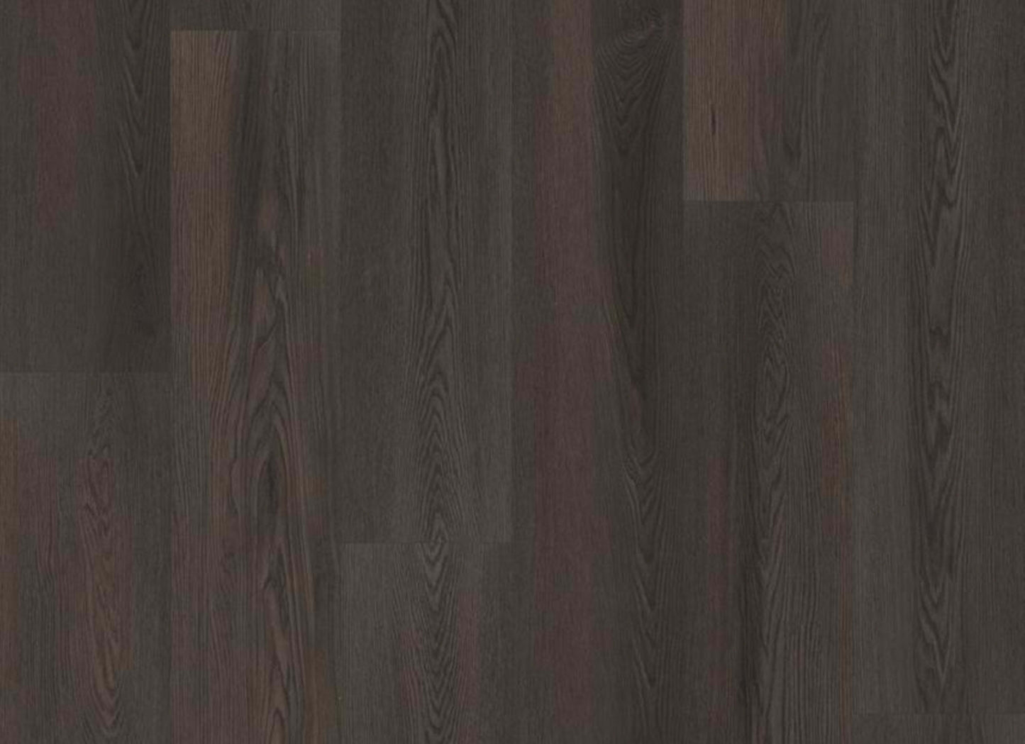 PHILOSOPHER'S TREE in Burnished Timber