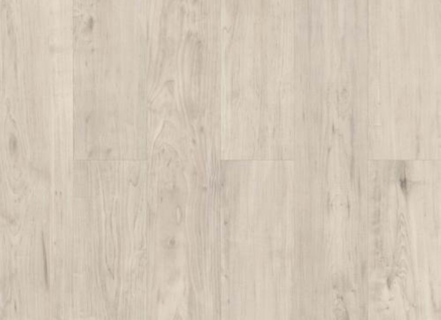 PURVIEW SPC CLICK in Antler