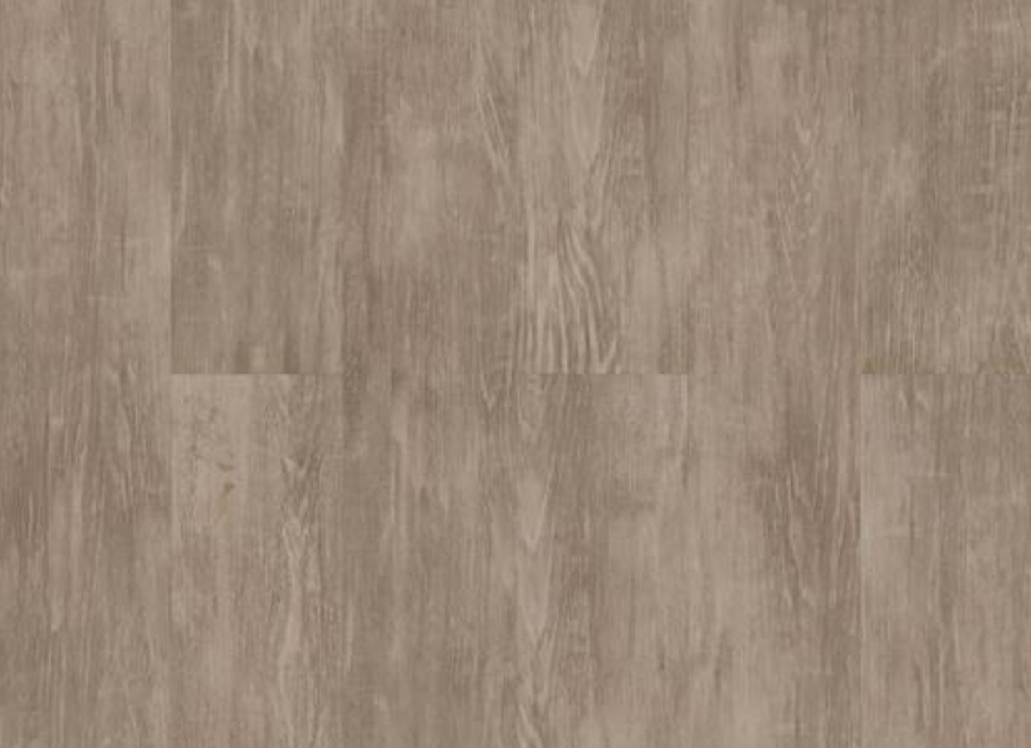 PURVIEW SPC CLICK in Patina