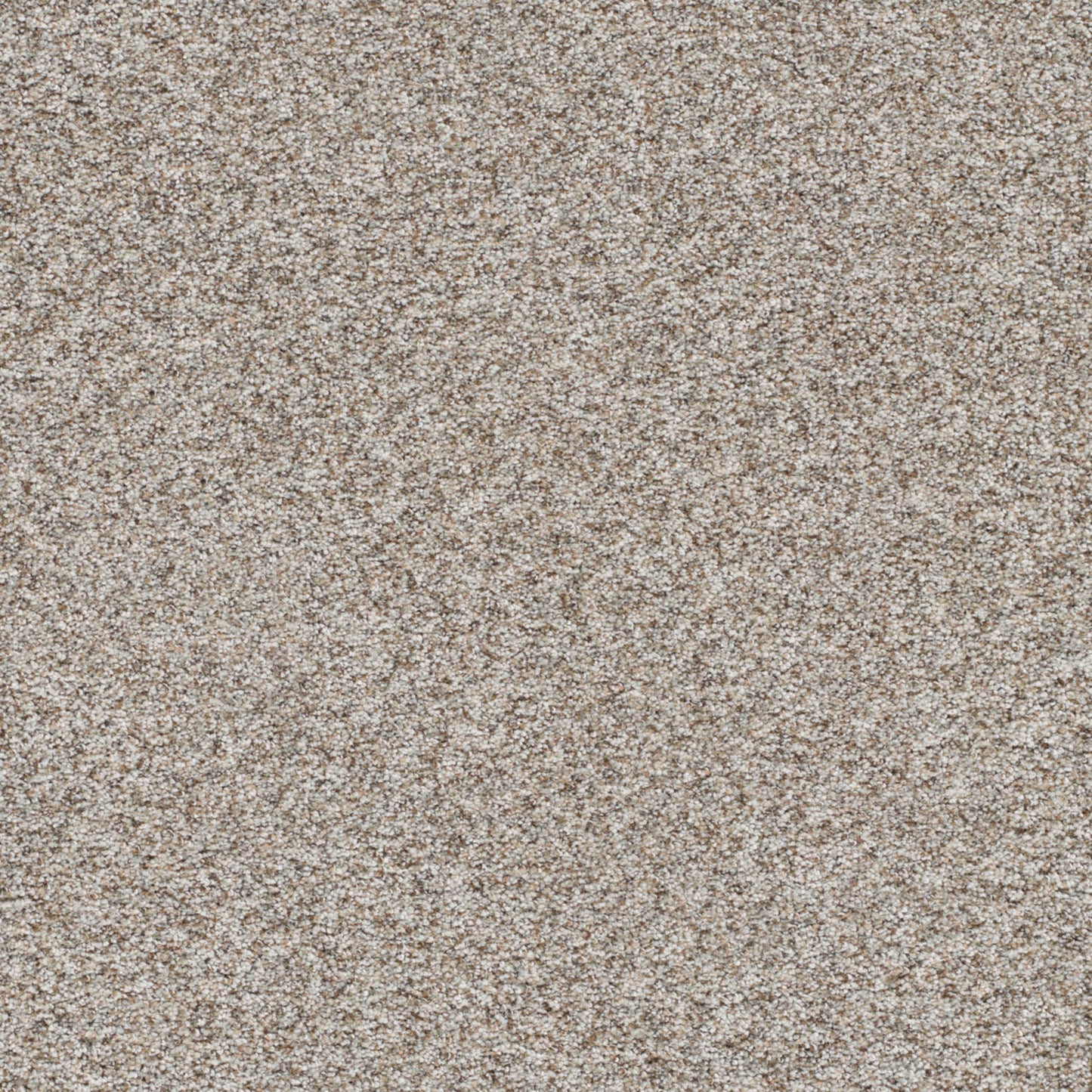 Prismatic III in Crisp Carpet