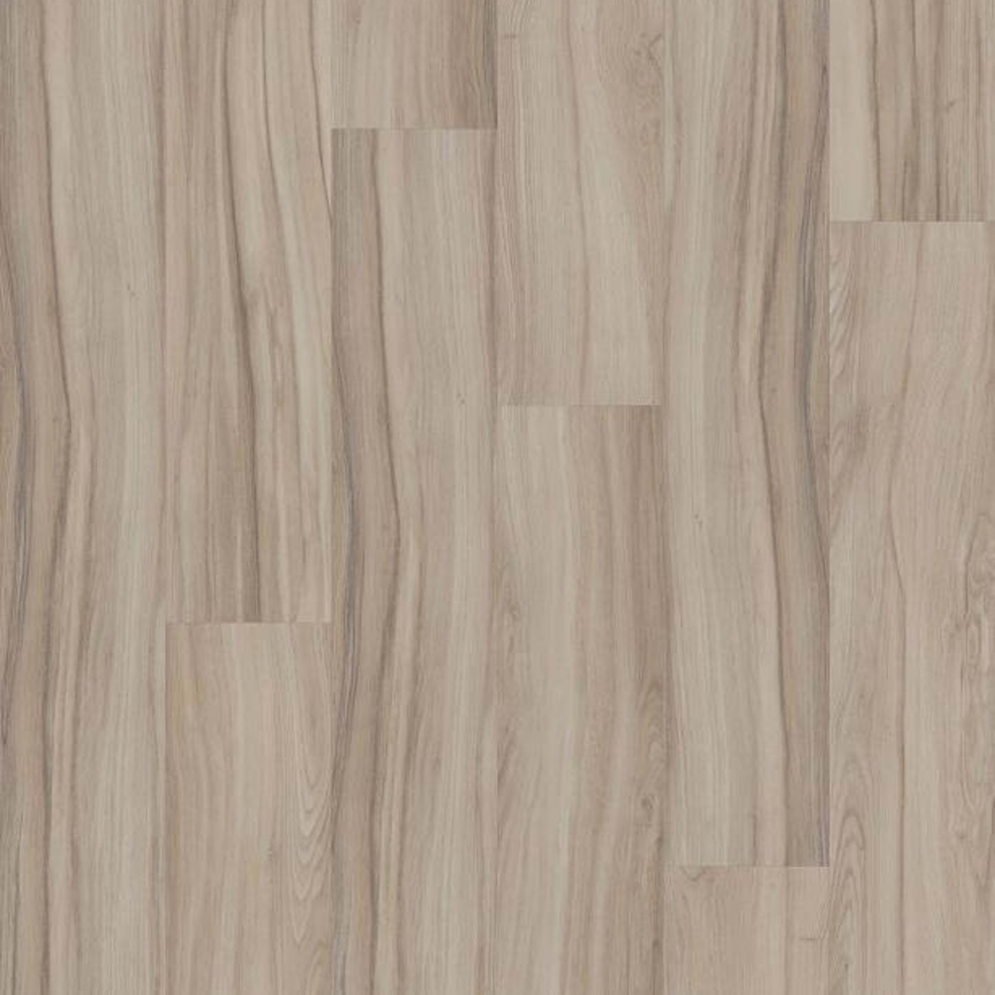 REWILD in Solace Luxury Vinyl
