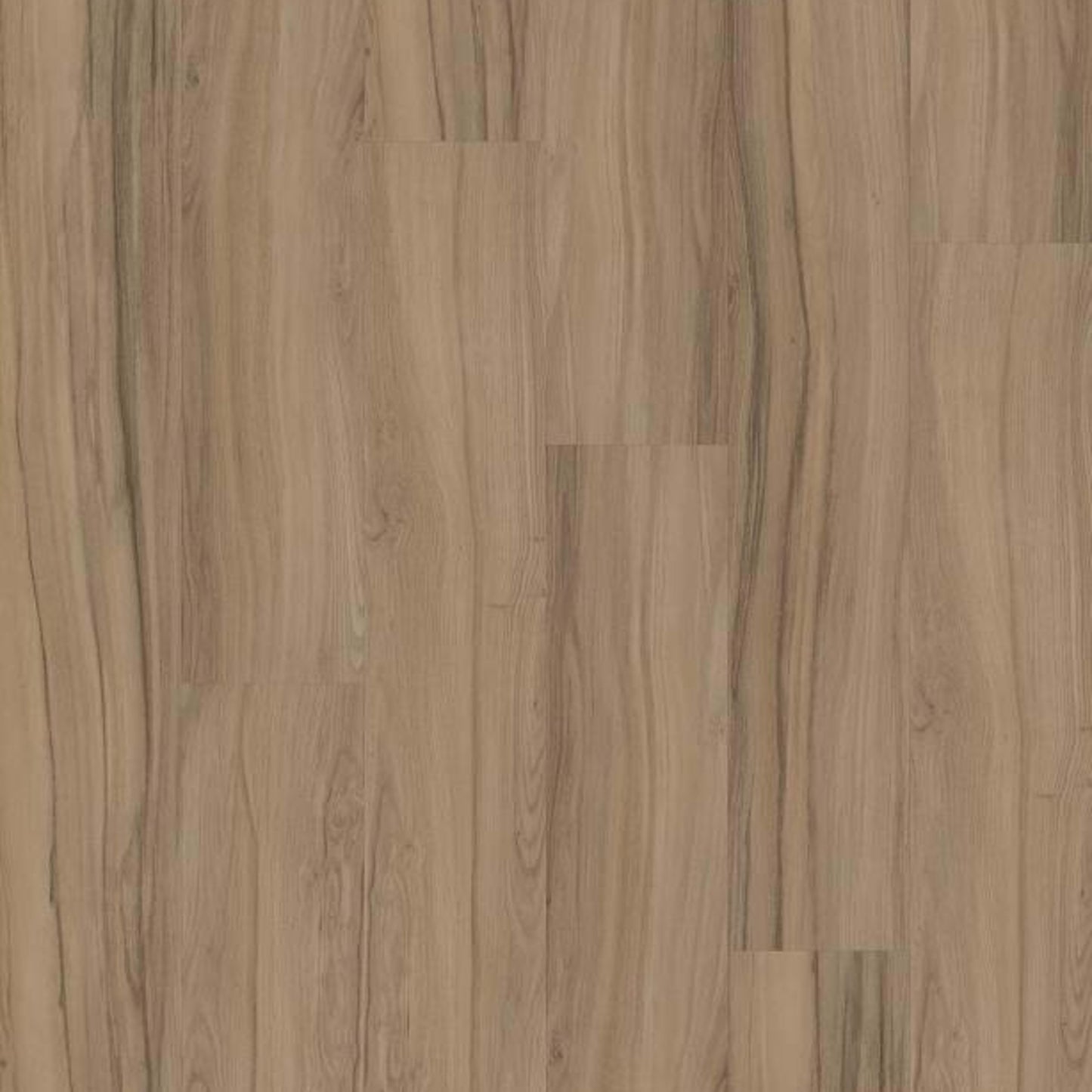 REWILD in Aegis Luxury Vinyl