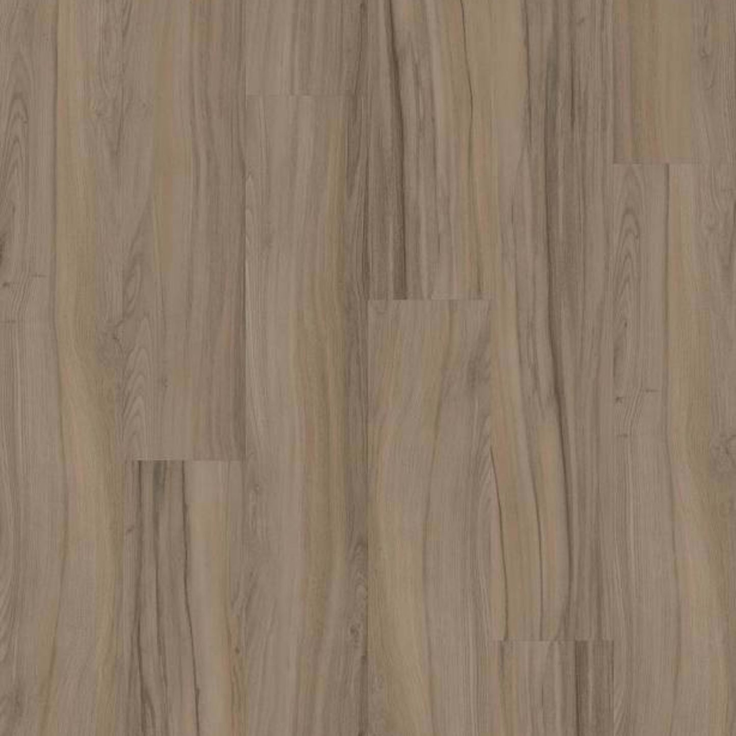 REWILD in Grounded Luxury Vinyl