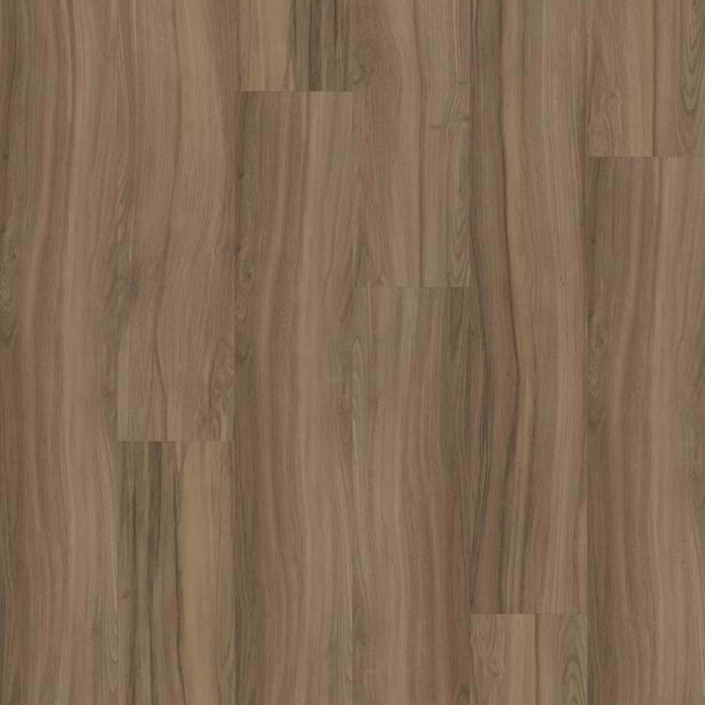 REWILD in Delight Luxury Vinyl
