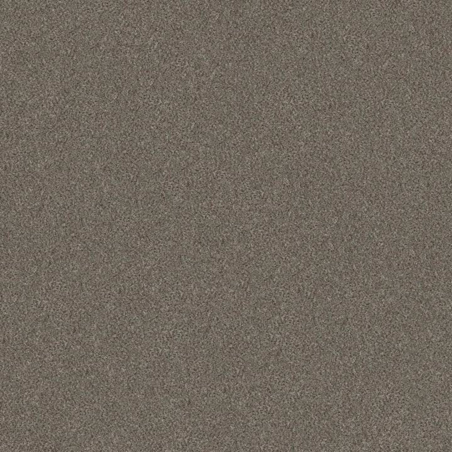 WITHOUT LIMITS I in Misty Mica Carpet