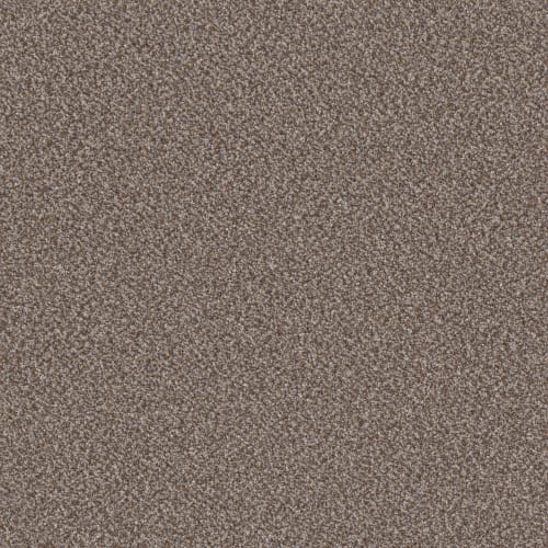 TRUSPIRIT II in Cobble Drive