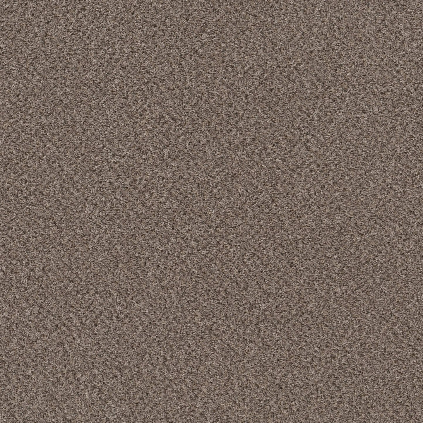 MIX'D ESSENTIALS in Burro Brown(A) Carpet