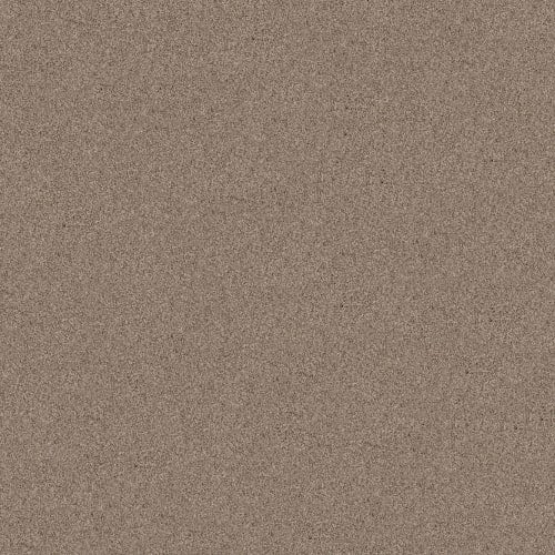 LIVE ON COMFORT in Hillcrest Tan